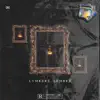 DMZ - Lumière sombre